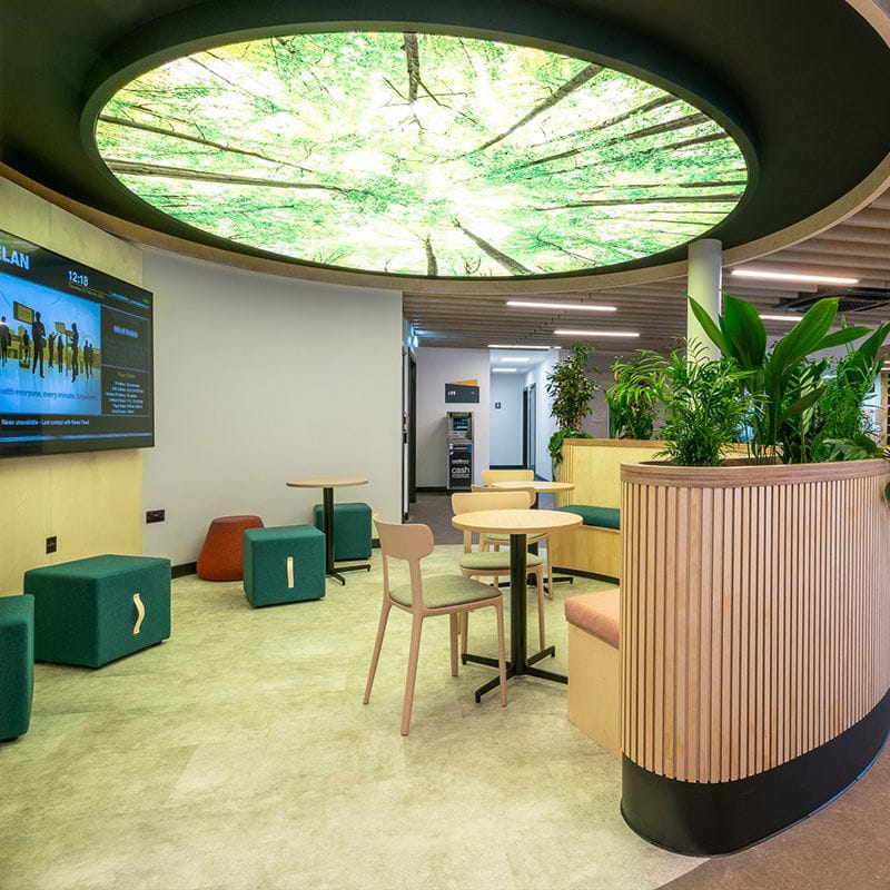 Light Box for Ceiling