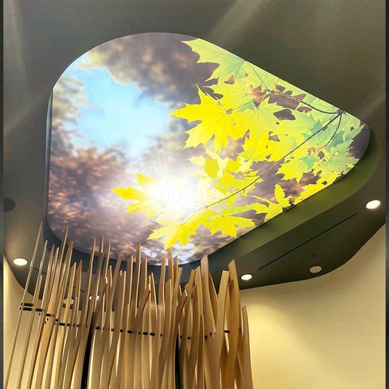 dropped ceiling light box