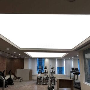 Soft film ceiling LED light
