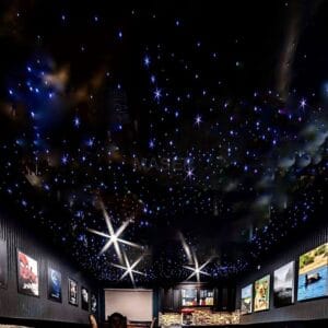 stretch transparent ceiling